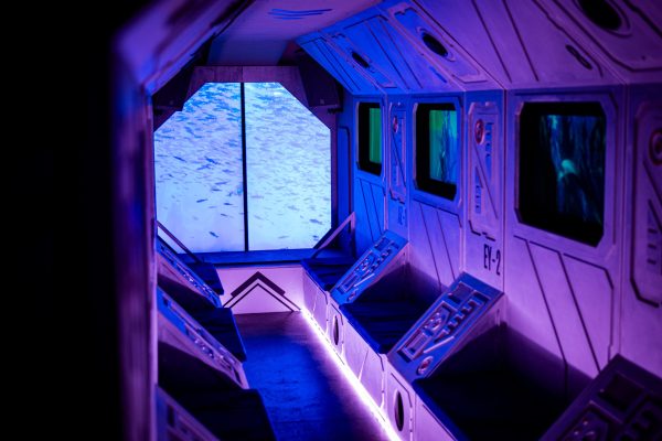 Dive into the Blue - image 2