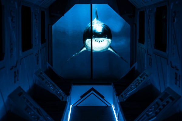 Dive into the Blue - image 8
